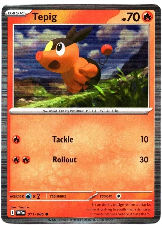 Tepig (Tinsel Holo)